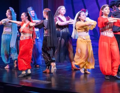 Aladdin Costume Rentals