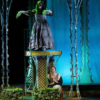 Into the Woods rental scenery - stagecraft theatrical - 800-499-1504