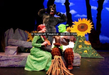 Shrek Rental Set With Dragon, Professionally Designed --800-499-1504 ...