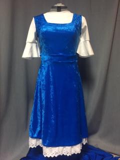 Beauty and Beast Costumes for rent ages 6 to adult