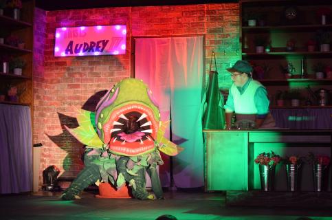 Astonishing Theatre Company - Grass Valley, CA