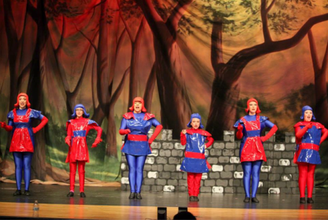 Shrek the Musical Dulac Dancers costumes