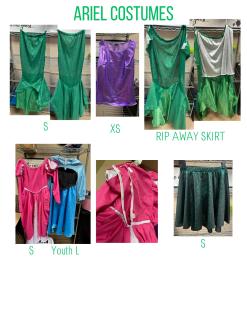 Ariel Costumes