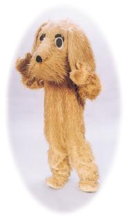 Peter Pan - Costume Rentals