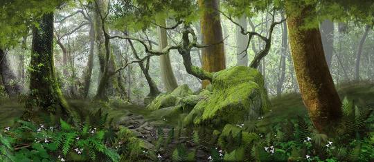 Forest Panel 4 Backdrop used in the production of Lion King, Shrek, and Into the Wood