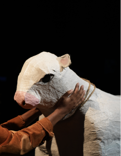 Close-up of Milky-White's head during a scene with Jack.