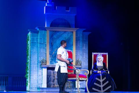 Cinderella Scenic Elements