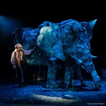 The Magician's Elephant