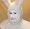 man wearing prosthetic makeup and a costume hood to look like a white rabbit.