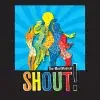 Shout! The Mod Musical