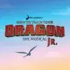 How to Train Your Dragon JR.