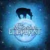 The Magician's Elephant